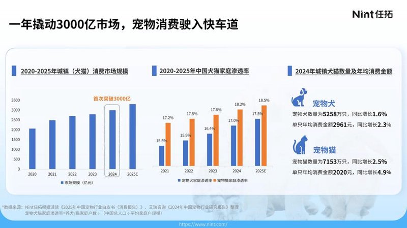 市场调研：洞察行业风向标
